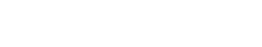 Animado